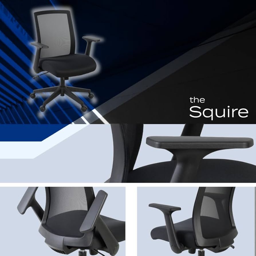 [SiegRay] Amazon.com: Romig Squire Ergonomic Mesh Office Chair with